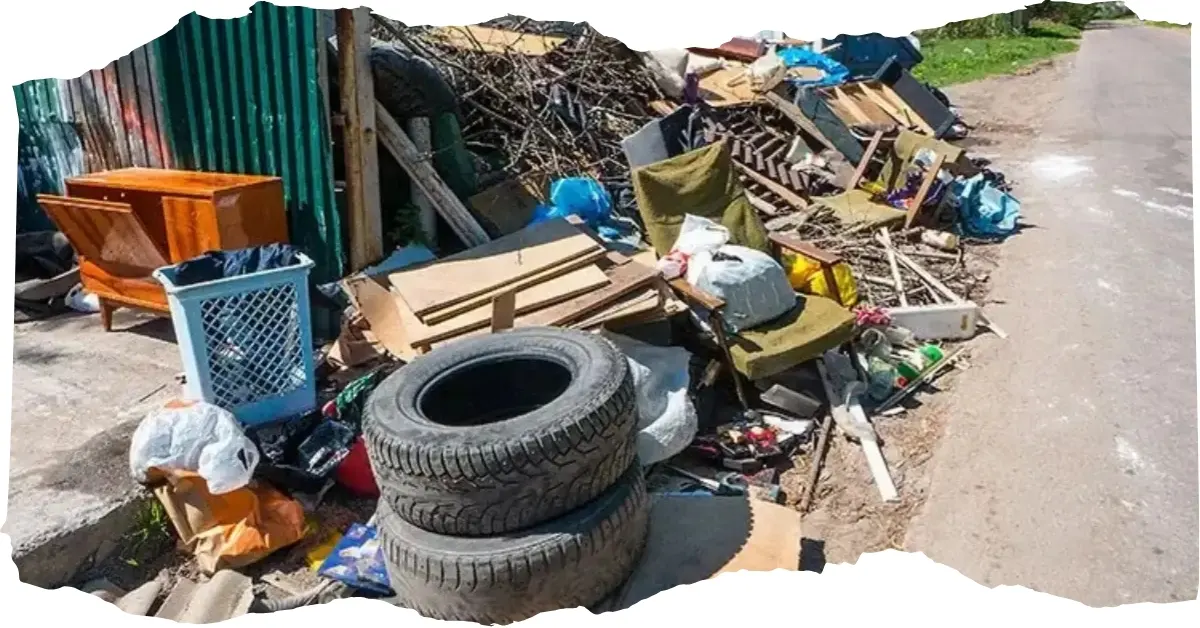 Junk Removal