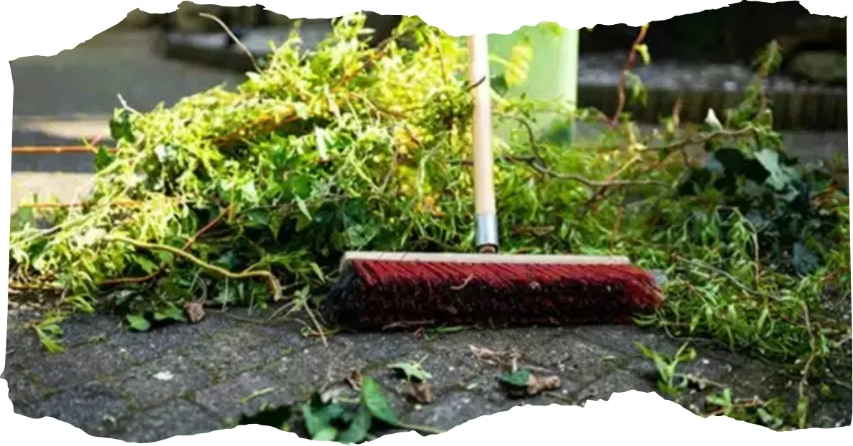 garden Waste Removal