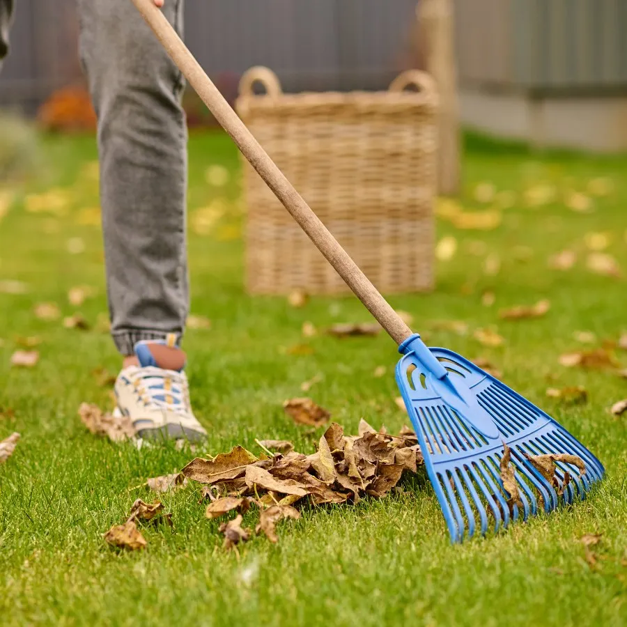 garden waste removal